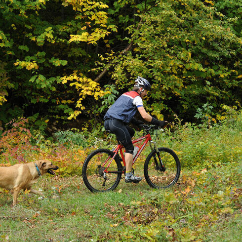 Randonnées en Morvan