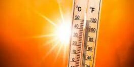 Canicule